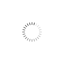 Loading suggested searches